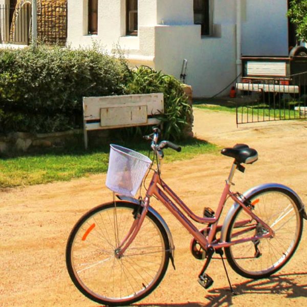 DAY TOUR EN BICICLETA